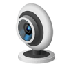 article-600e73849b80c40a.png