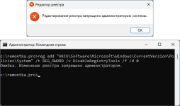 article-42006371d6b3c71e.png