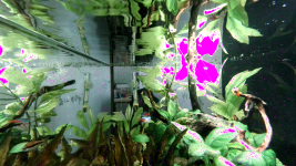article-d441db27594b33ed.png