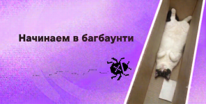 article-b5a698c80a40de6c.png