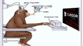 article-fa6f5ce36e1eda42.jpg