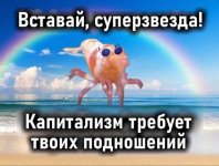 article-92b68b4b82e5063b.jpg