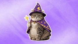 article-917670e1a6e471f0.png