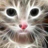 chiter89